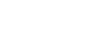 PRMG White Logo PRMG White Logo