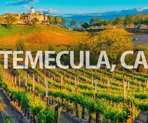 PRMG Opens their Newest Southern California Retail Branch in Temecula!